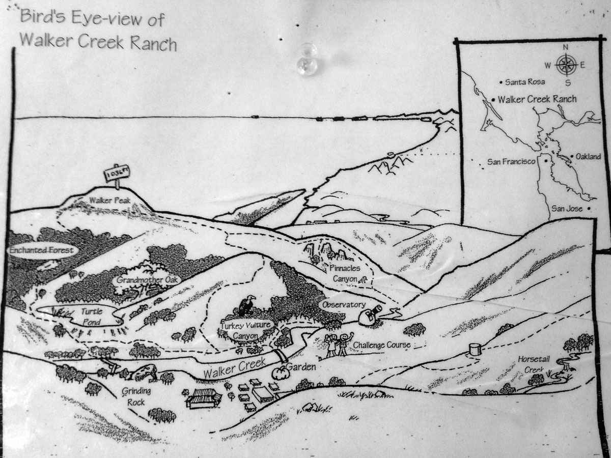 'Cute hand drawn map of Walker Creek Ranch'